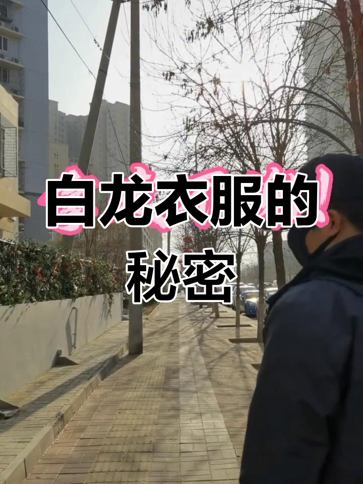 白龙鱼服背后的故事,康熙微服私访江南