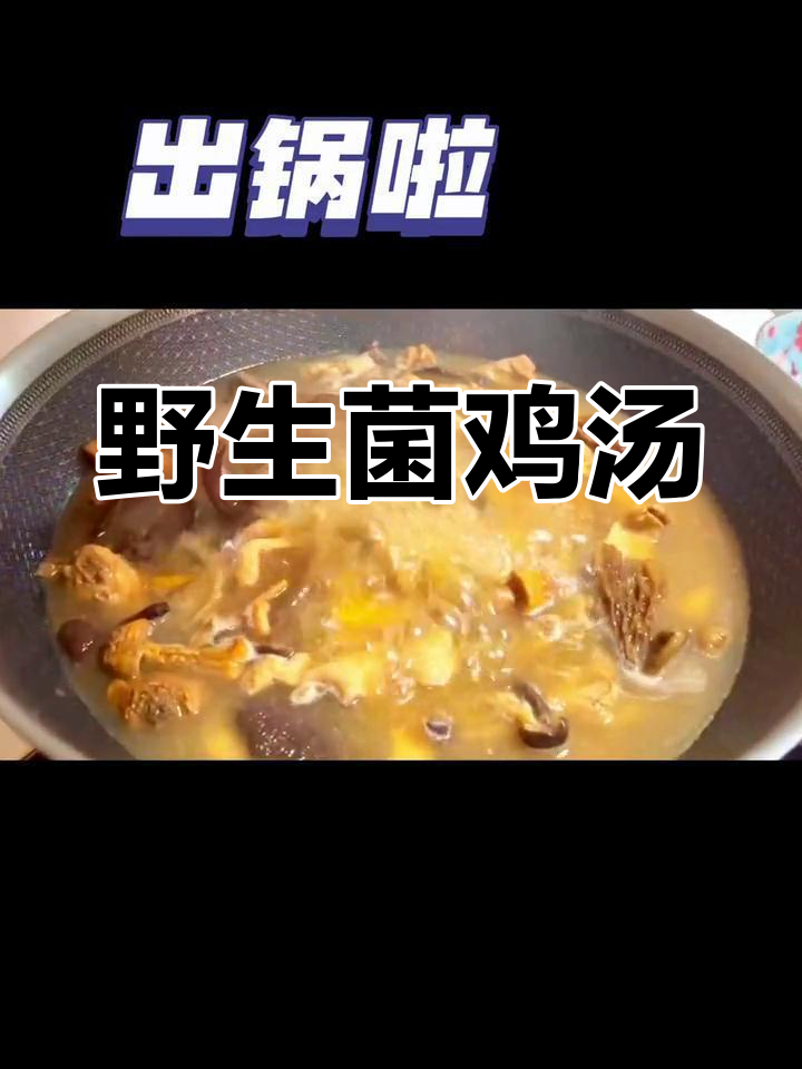 云南野生菌炖鸡,营养满分的滋补汤