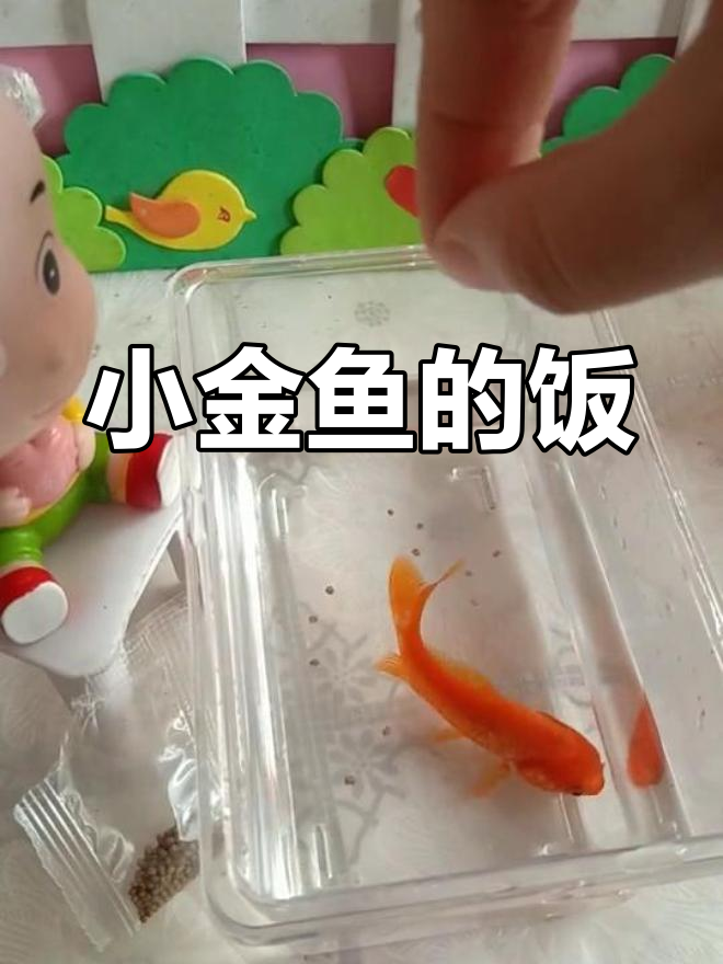 小金鱼饿了,吃点乌龟饲料能行吗?