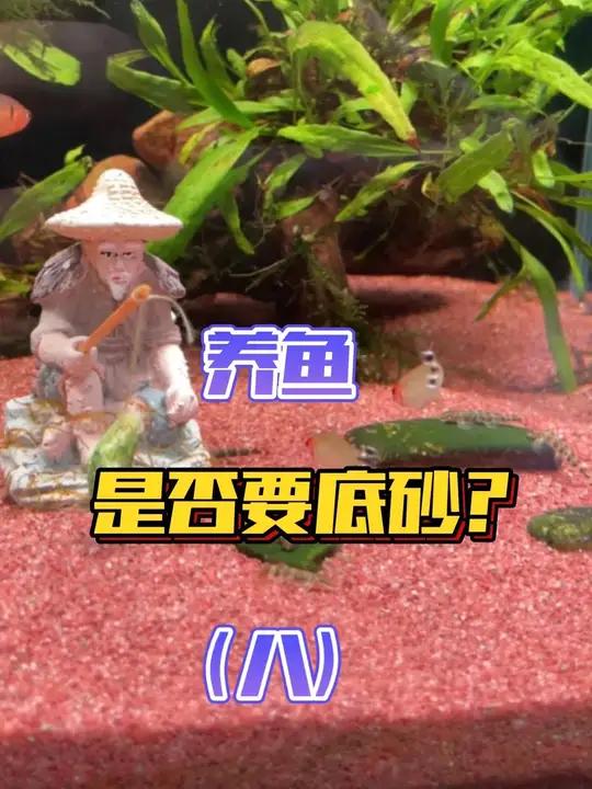 养鱼心法「第八节」养鱼是否需要铺底砂?铺什底砂,养水草是否需要水草泥?新手养鱼 鱼缸底砂 