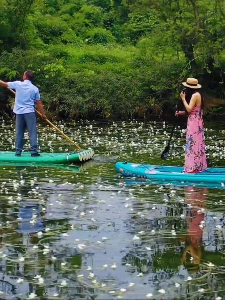 桂林有一条会开花的河。河面上开满了花朵也太梦幻了