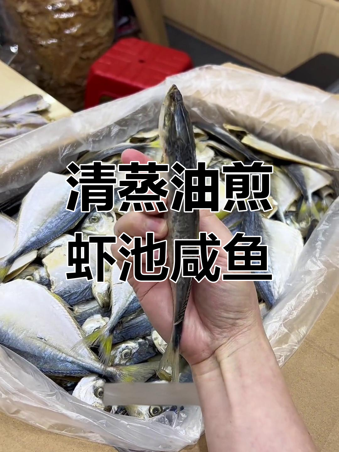 虾池咸鱼,淡晒咸味适中,清蒸油煎皆宜