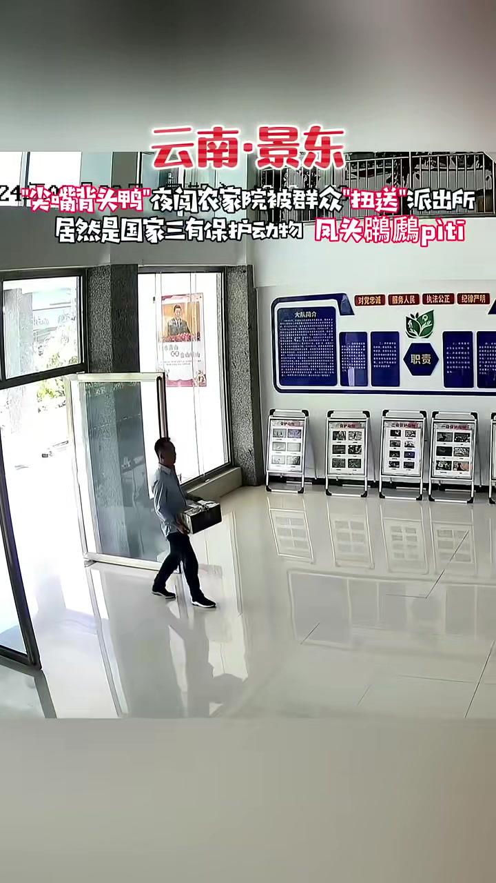 尖嘴背头鸭“夜闯农家院被群众“扭送“派出所 云南警事@茶城森警