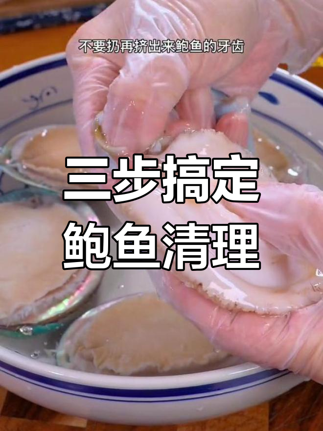 鲍鱼清洗全攻略,轻松去除粘液和内脏