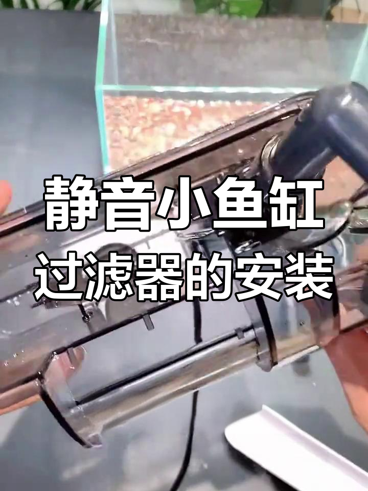 小型鱼缸必备静音瀑布过滤器安装教程,简单几步搞定