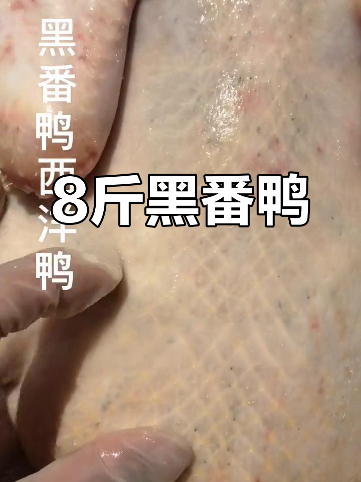黑番鸭与白番鸭的区别