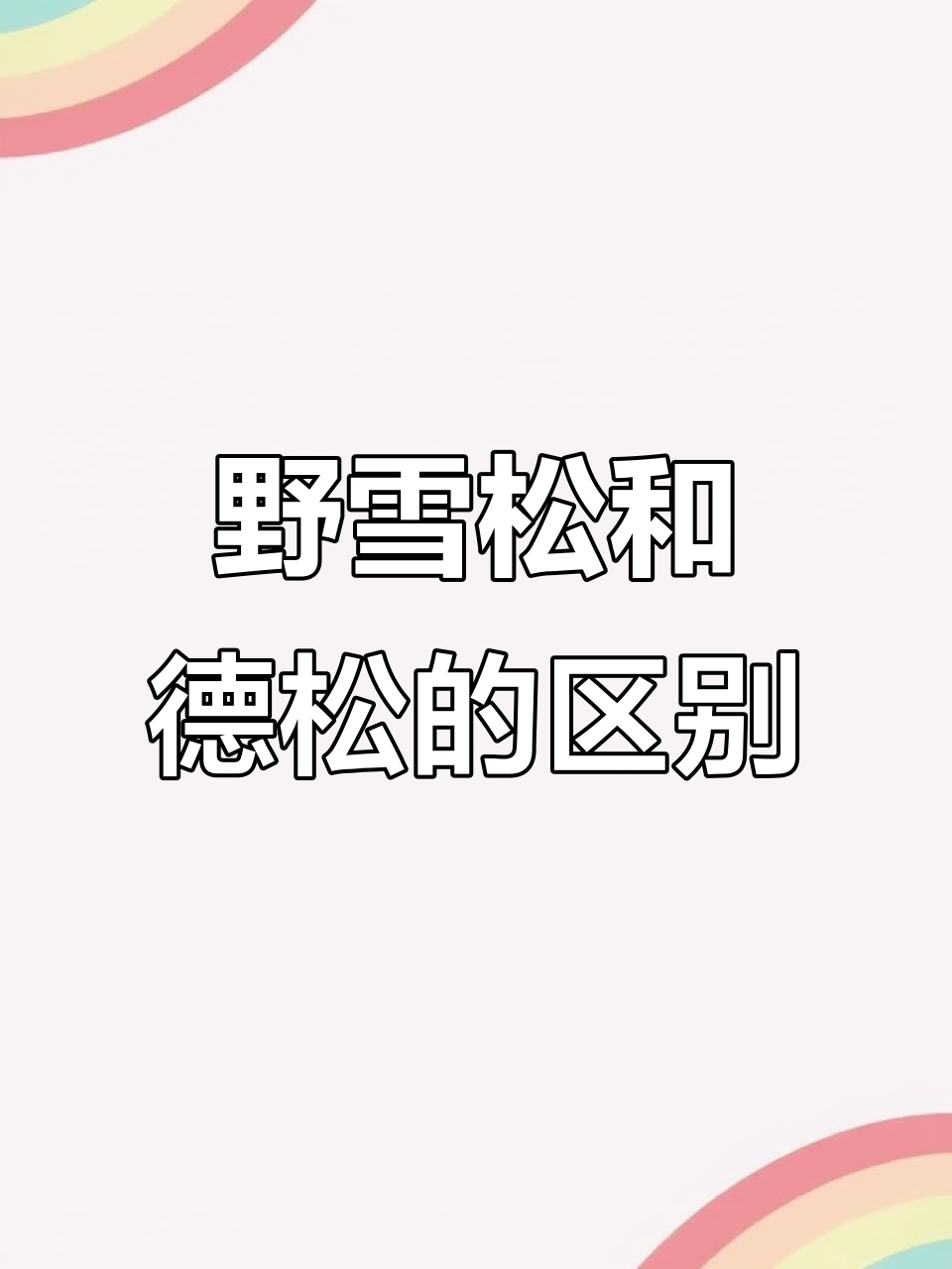 野血松与德松七彩神仙鱼区别大揭秘,选哪种更合适?