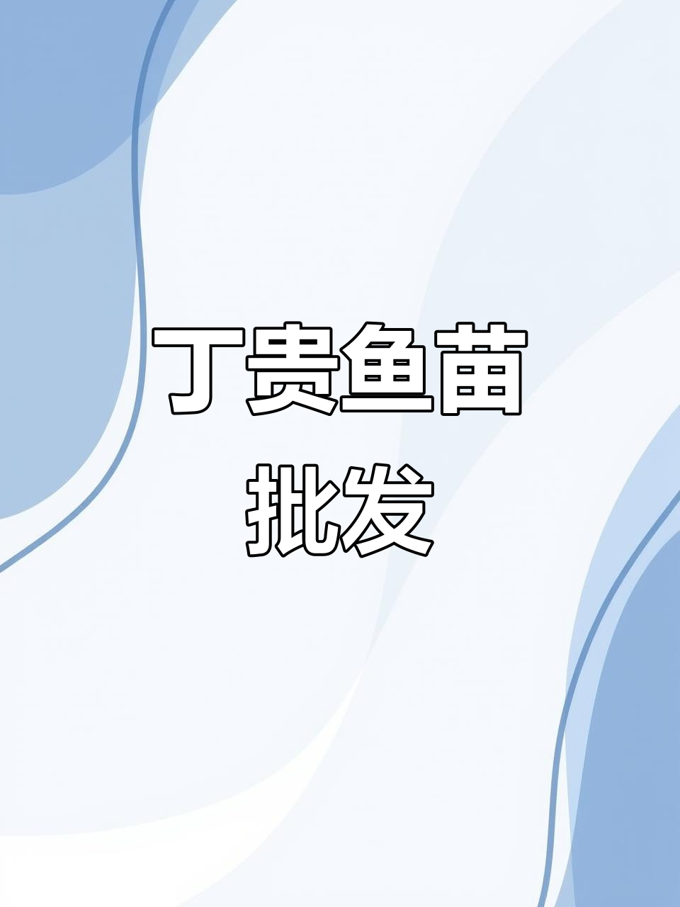 丁贵鱼苗批发,优质种苗全国发货