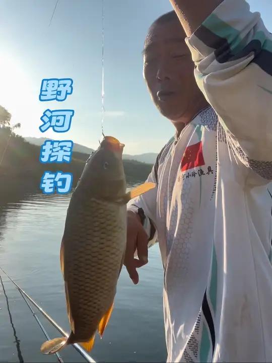 探钓野河 丹江鱼情湖北段，不闹白条成群的鲤鱼泡
