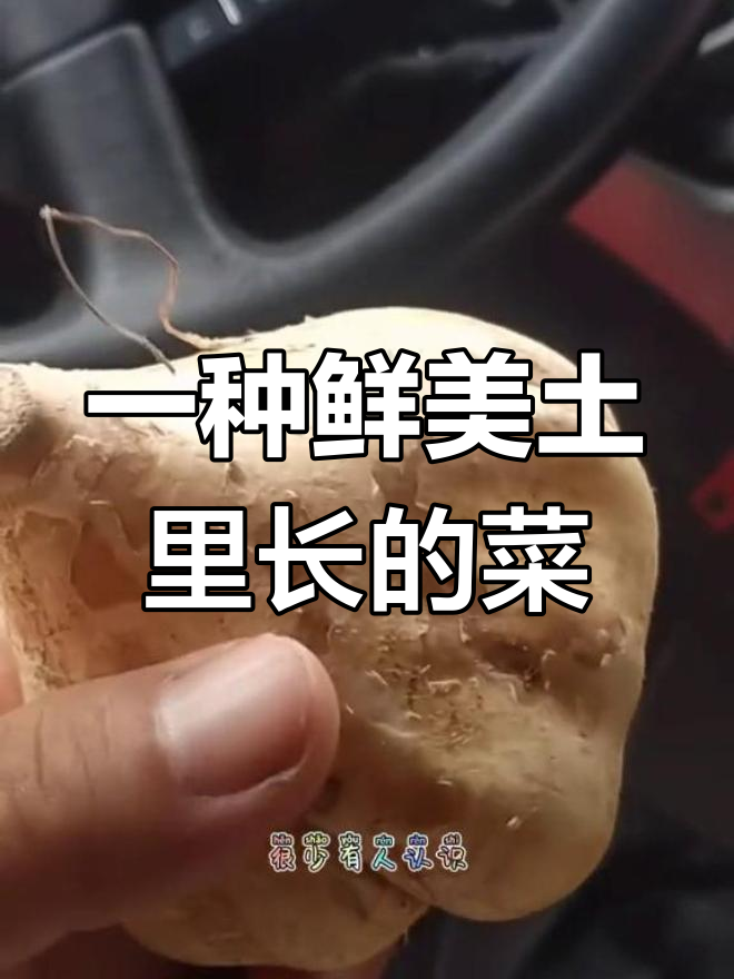 湖北特产蔬菜,东北人可能没见过!