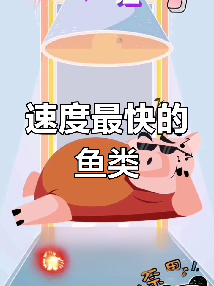 世界上最快的旗鱼,时速可达190千米