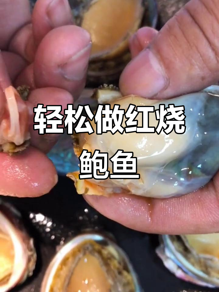 红烧鲍鱼,简单又美味!教你一步步做出完美口感