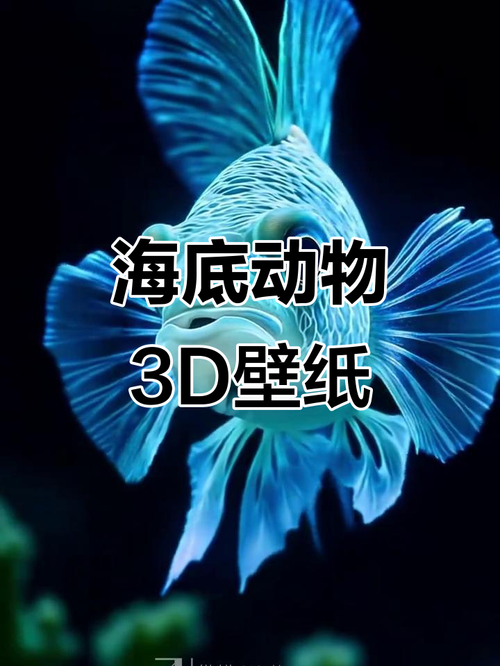 3D海洋生物动态壁纸,带你进入神秘海底世界