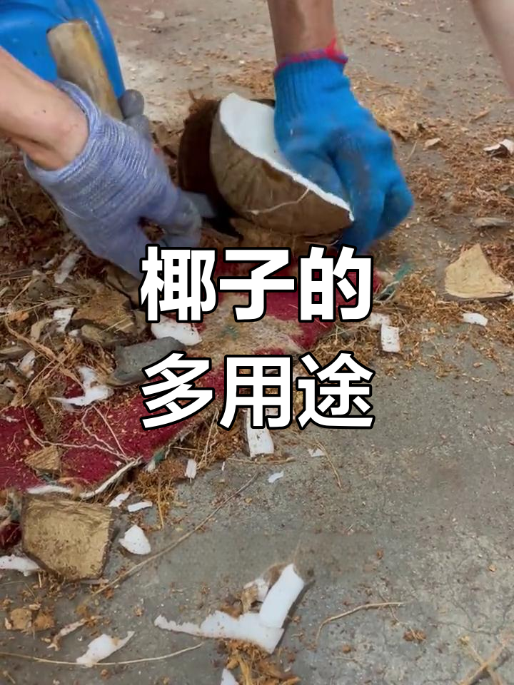 椰子肉多种吃法,汤、甜点、米饭样样能做,海南人最爱