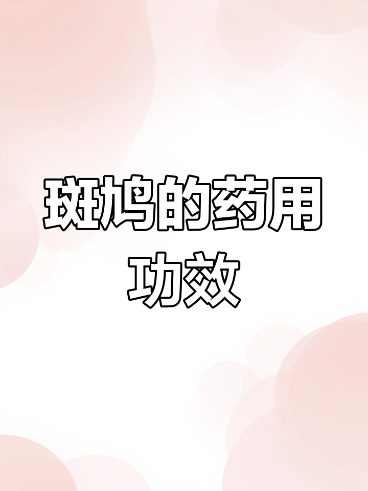 野生斑鸠觅食与药用价值