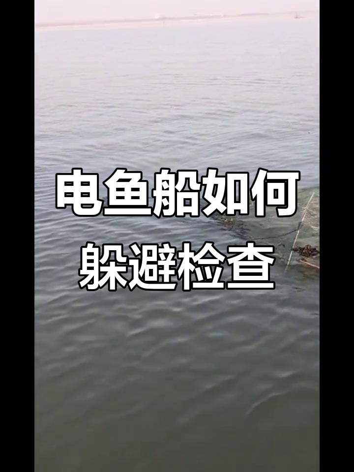 电鱼船大揭秘,这些时间点竟然能避开检查!