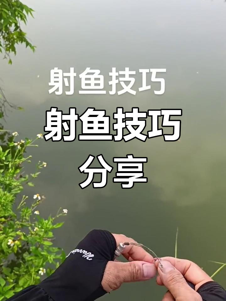 射鱼技巧大揭秘,如何精准捏标与接线