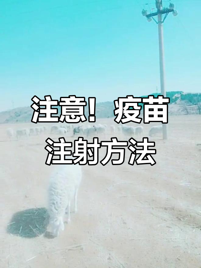 疫苗注射技巧大揭秘,皮下和肌肉注射别搞错