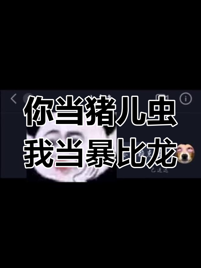 你是猪儿虫,我是暴比龙?我们都有烦恼壳