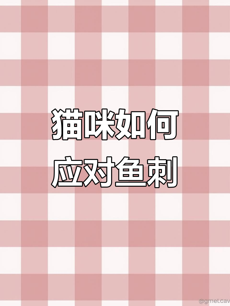 猫为何不怕鱼刺?揭秘它们的舌头和食道结构