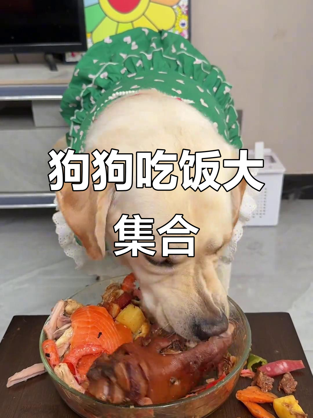 狗狗的豪华大餐,牛肉、猪蹄、炸鸡排全都有