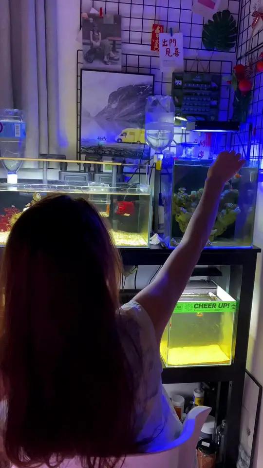海水原生缸 最喜欢的一角 海缸日记 小丑鱼 让喜欢的事成为生活