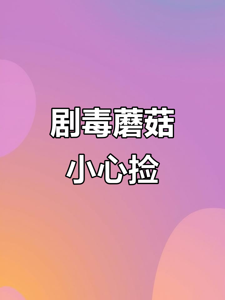 毒蝇鹅膏菌：美丽却致命的蘑菇，见到别碰！