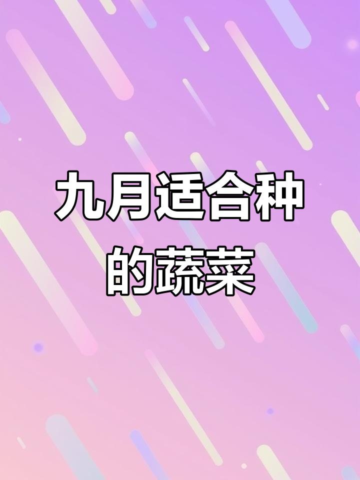 九月份种什么菜最合适?蔬菜种植技巧大公开