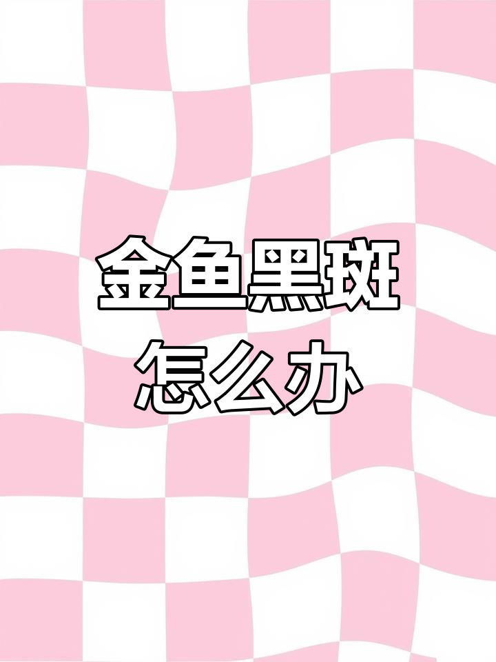 金鱼黑斑出现的原因及应对方法