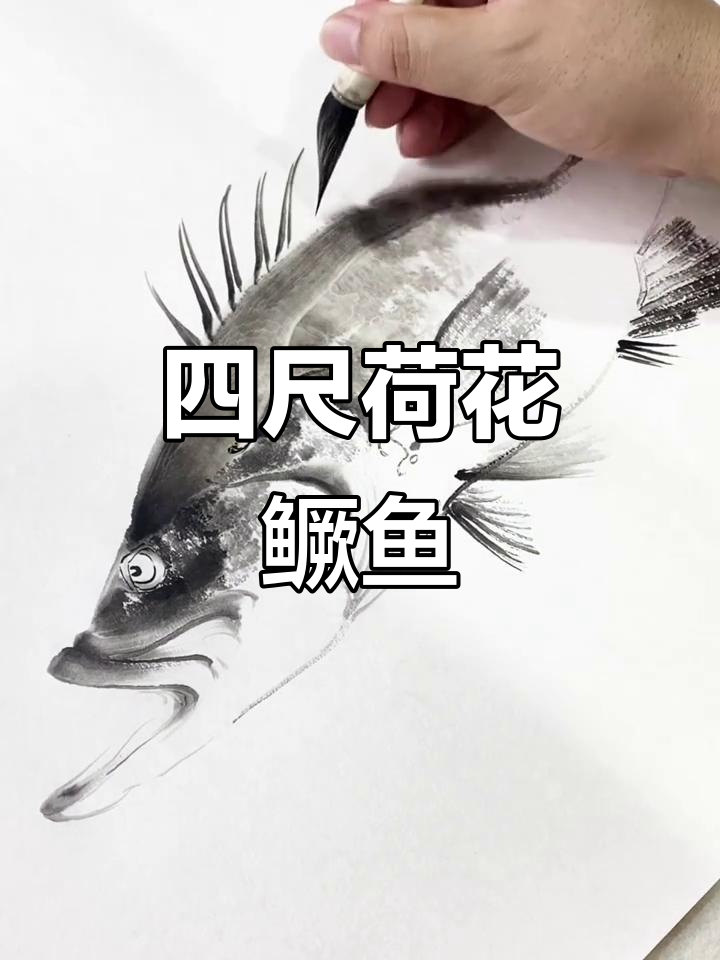 荷花鳜鱼四尺斗方,细节之美尽显