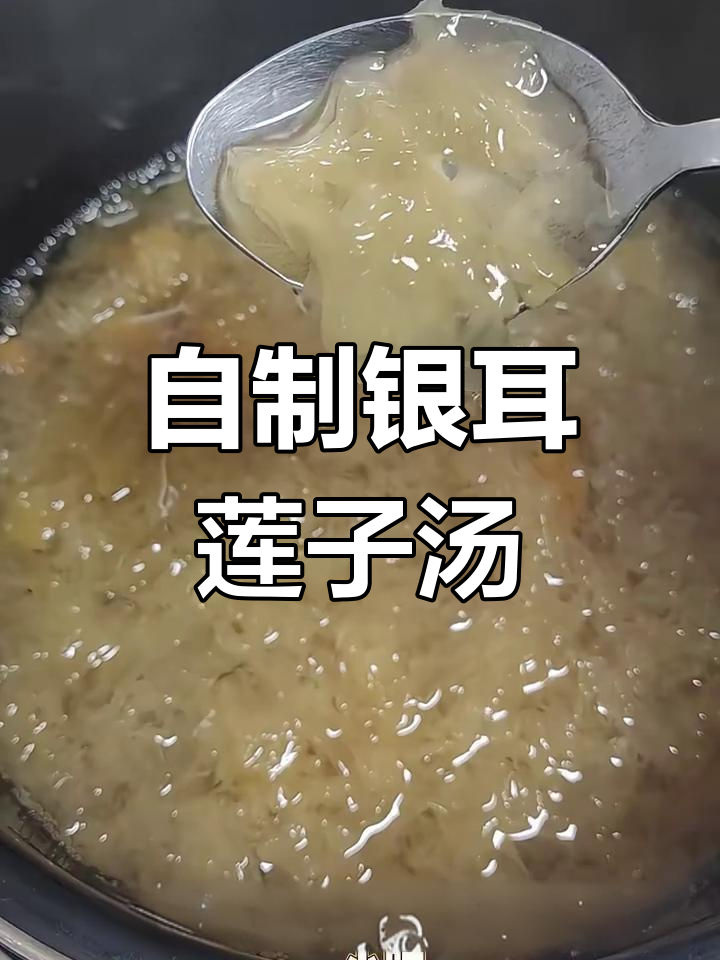 银耳莲子百合汤,润肺又滋补,简单易学