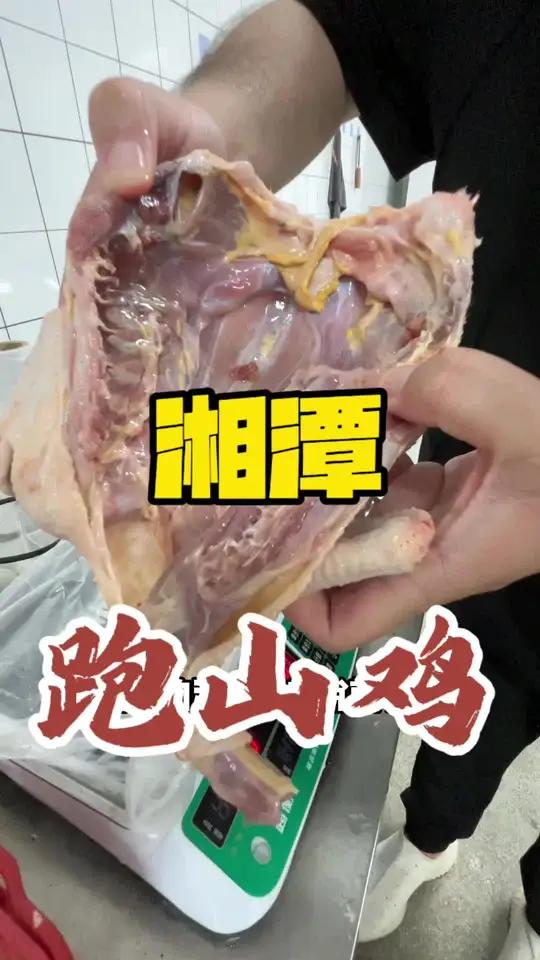 白切鸡,用什么鸡更好