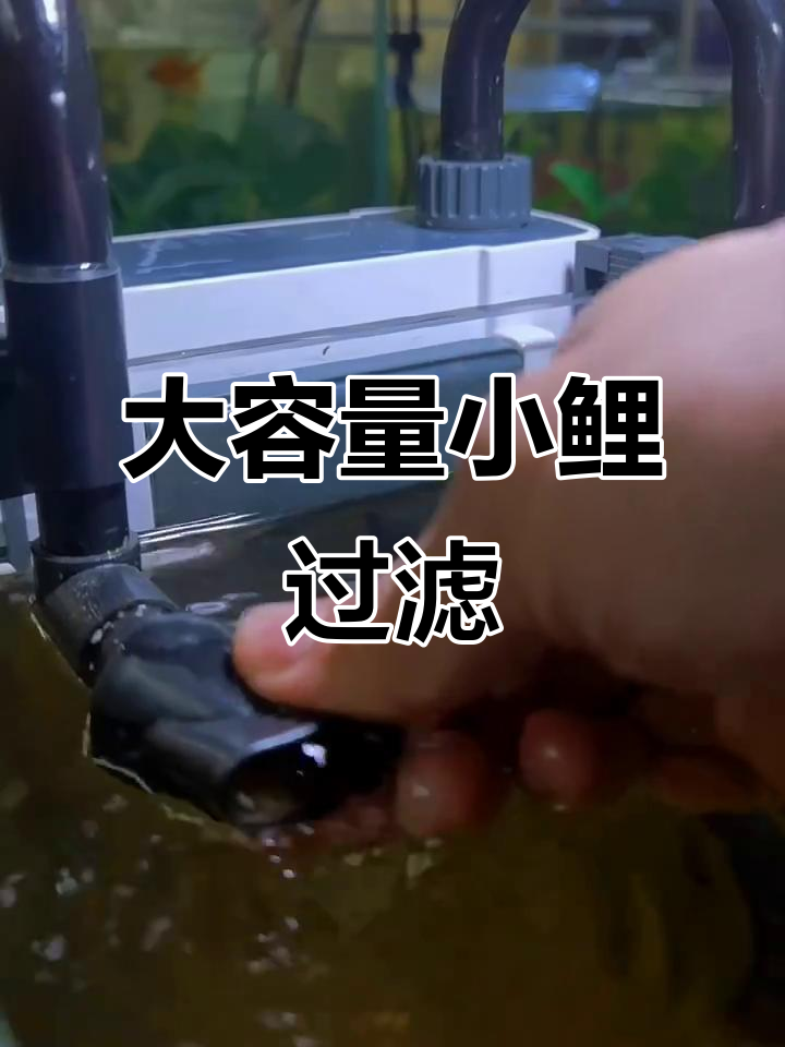 小鲤过滤器,大容量设计,适合30-60厘米鱼缸