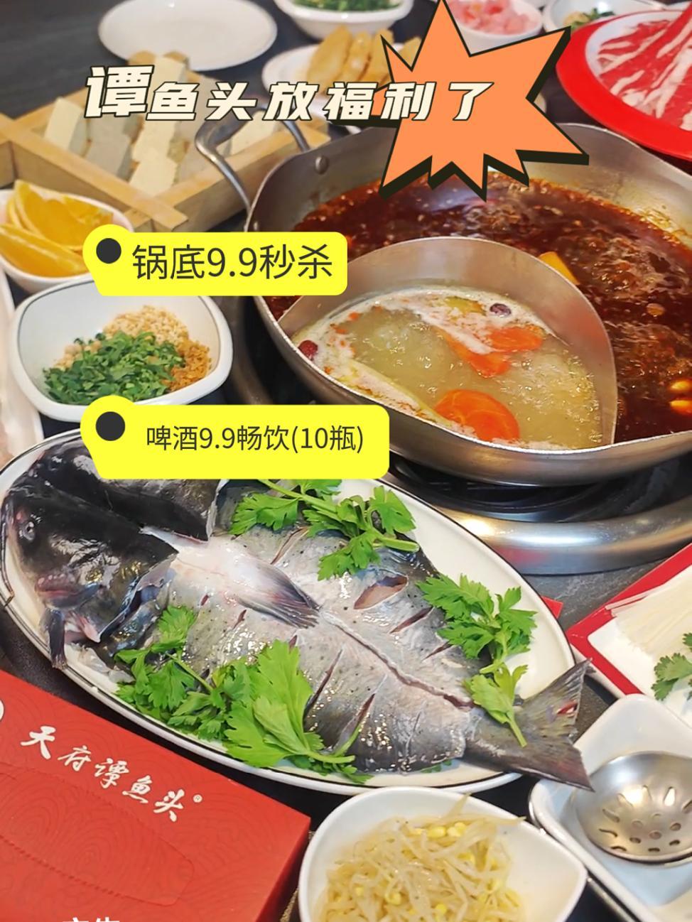 天府谭鱼头放福利了!火锅约起来 好店推荐 谭鱼头 窦淏