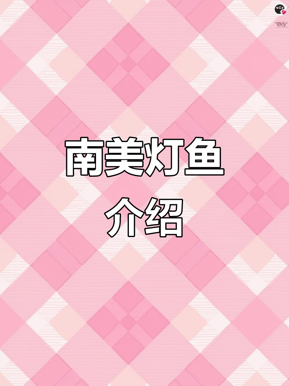灯鱼爱好者必看!南美灯鱼的魅力与养护技巧