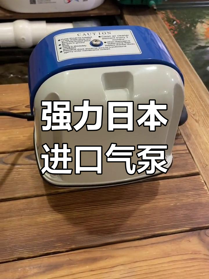日本安永气泵,强劲动力让锦鲤鱼池更生动