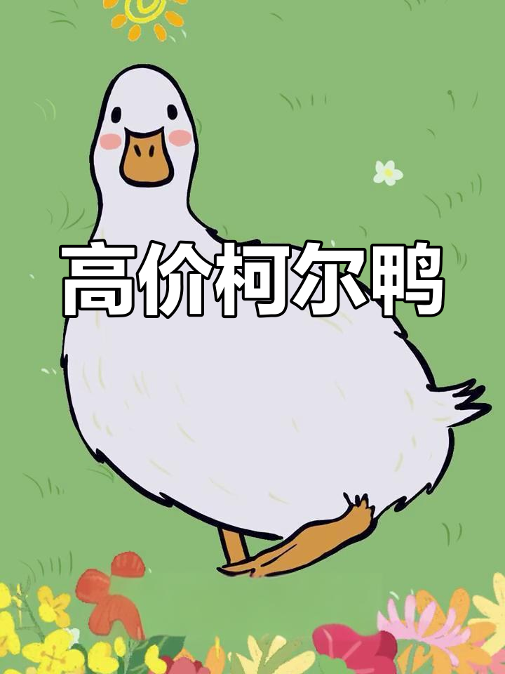 柯尔鸭:世界上最贵的鸭子