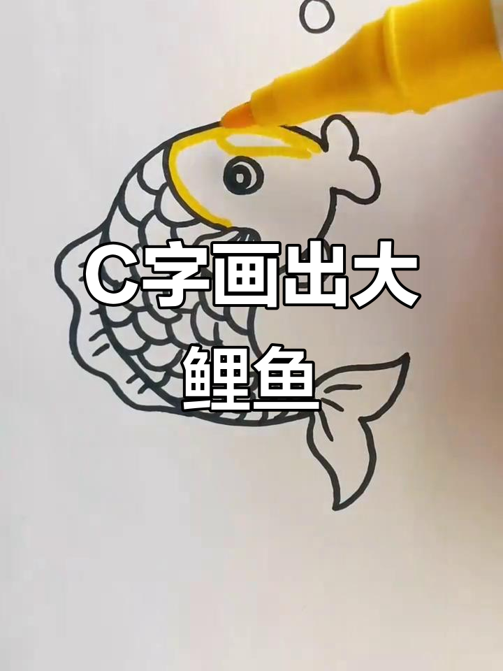 用C画大鲤鱼,简单又可爱!