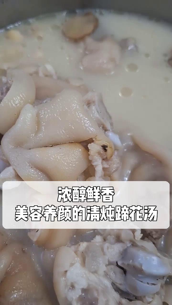 浓醇鲜香,美容养颜的清炖蹄花汤