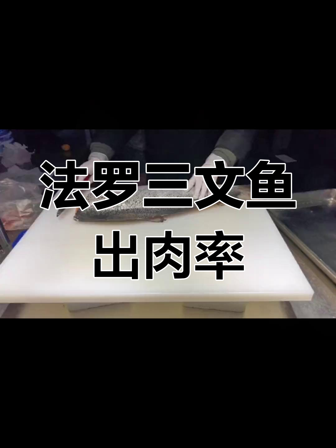 苏格兰皇家法罗三文鱼出肉率揭秘