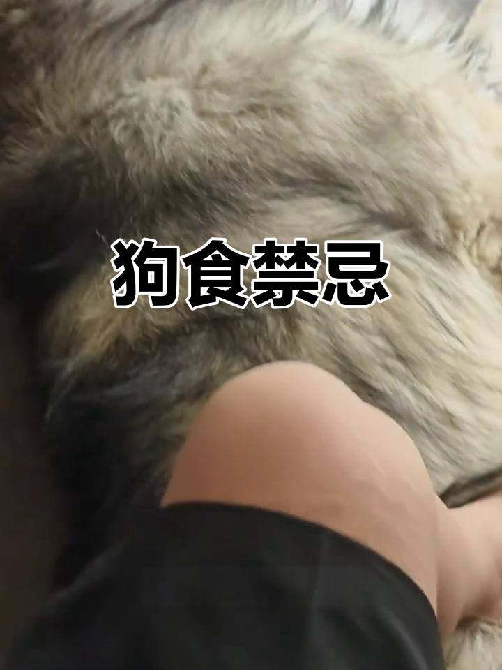 喂狗鸡架风险大,运气好能逃过一劫,否则后果不堪设想