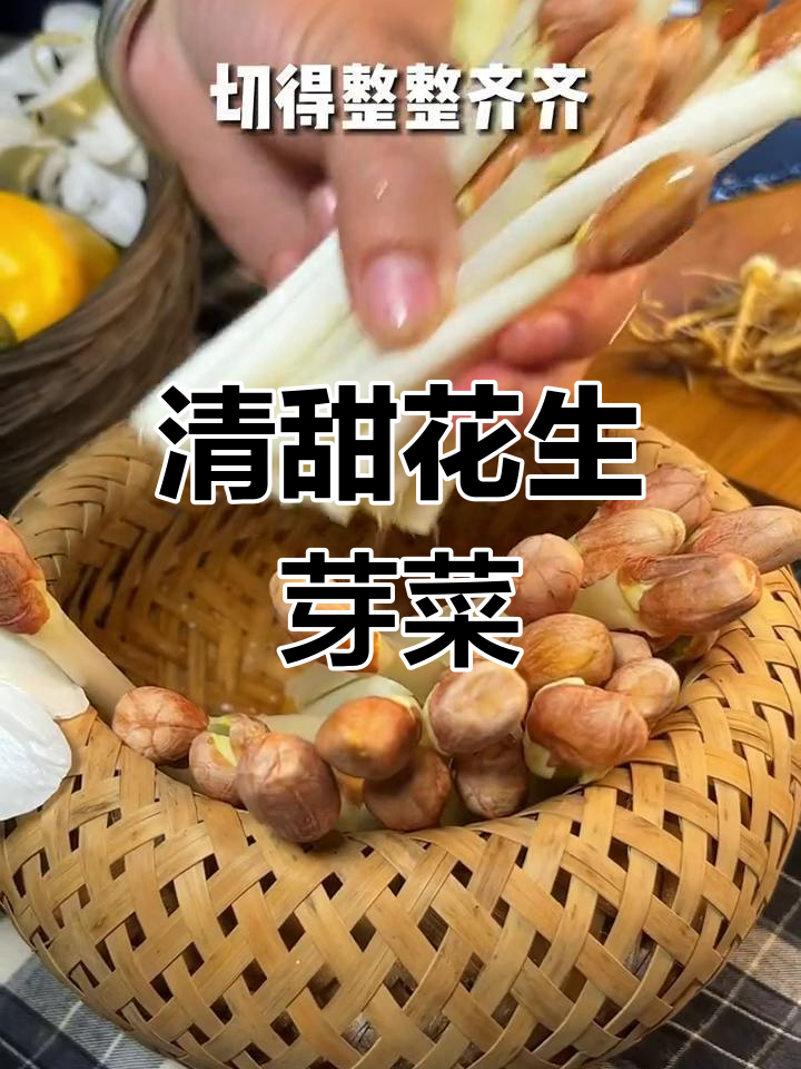 花生芽菜,清甜爽口又营养,素食朋友必试