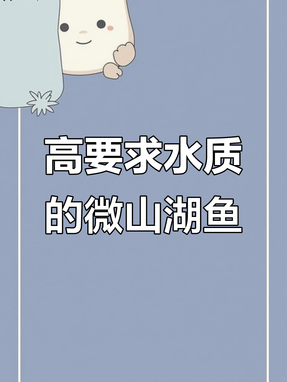微山湖两种高水质要求的鱼,味道超赞