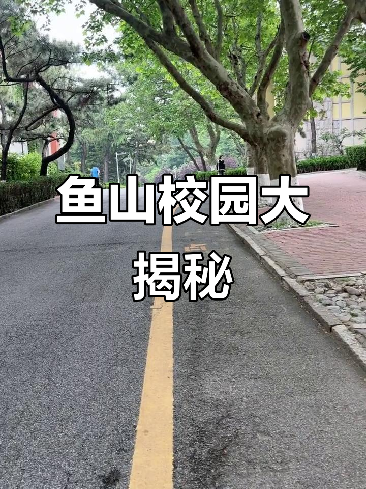 鱼山校区探秘:从食堂到博士答辩,全攻略!