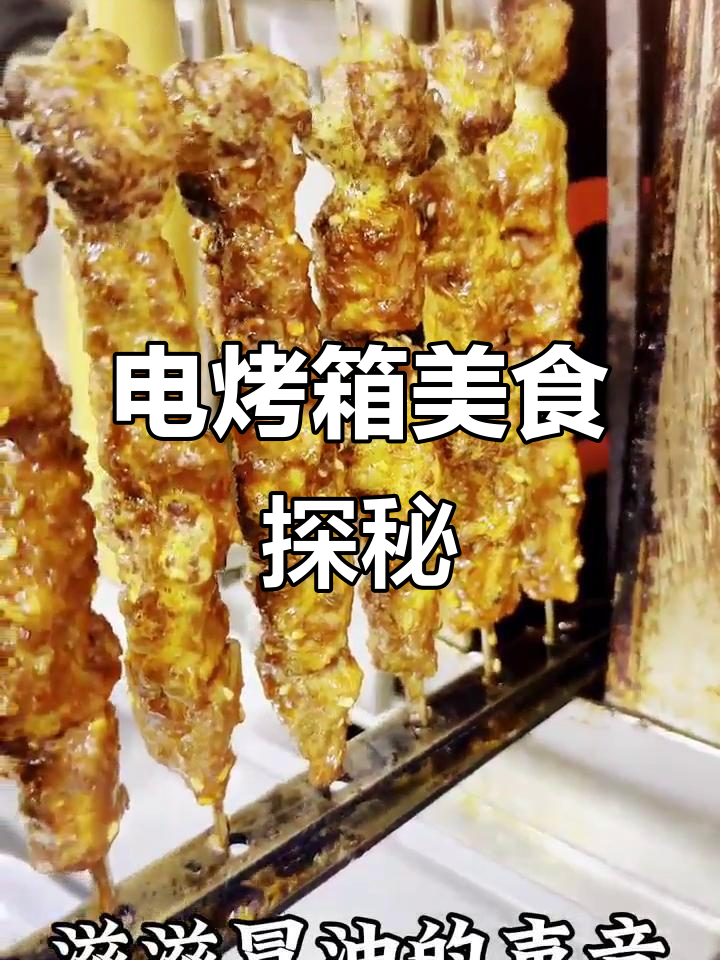 好奇不停吃派,电烤箱里的牛肉羊肉串大揭秘