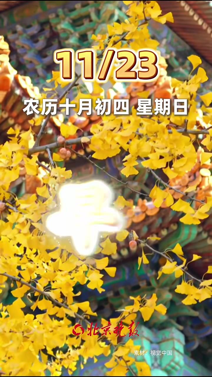 「早安问候」11月23日，星期日，早安。周末的晨光总是格外温柔，愿您暂别繁忙，拥抱宁静时光