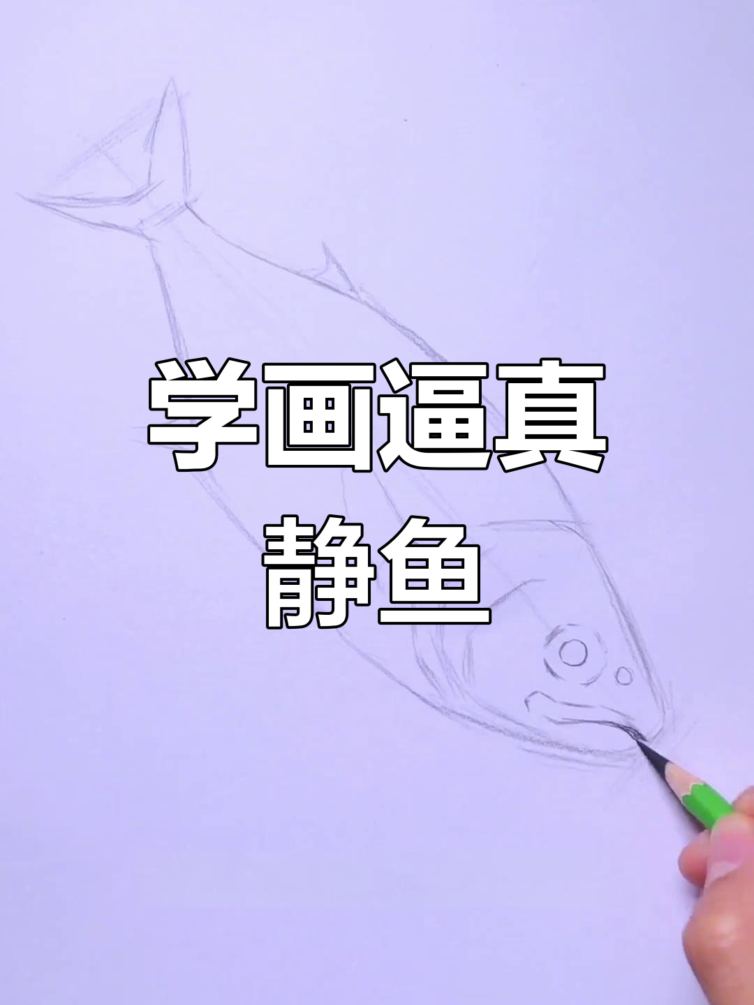 素描菁鱼绘制技巧，轻松掌握逼真效果
