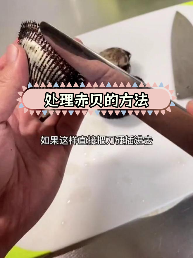 北海道赤贝处理技巧