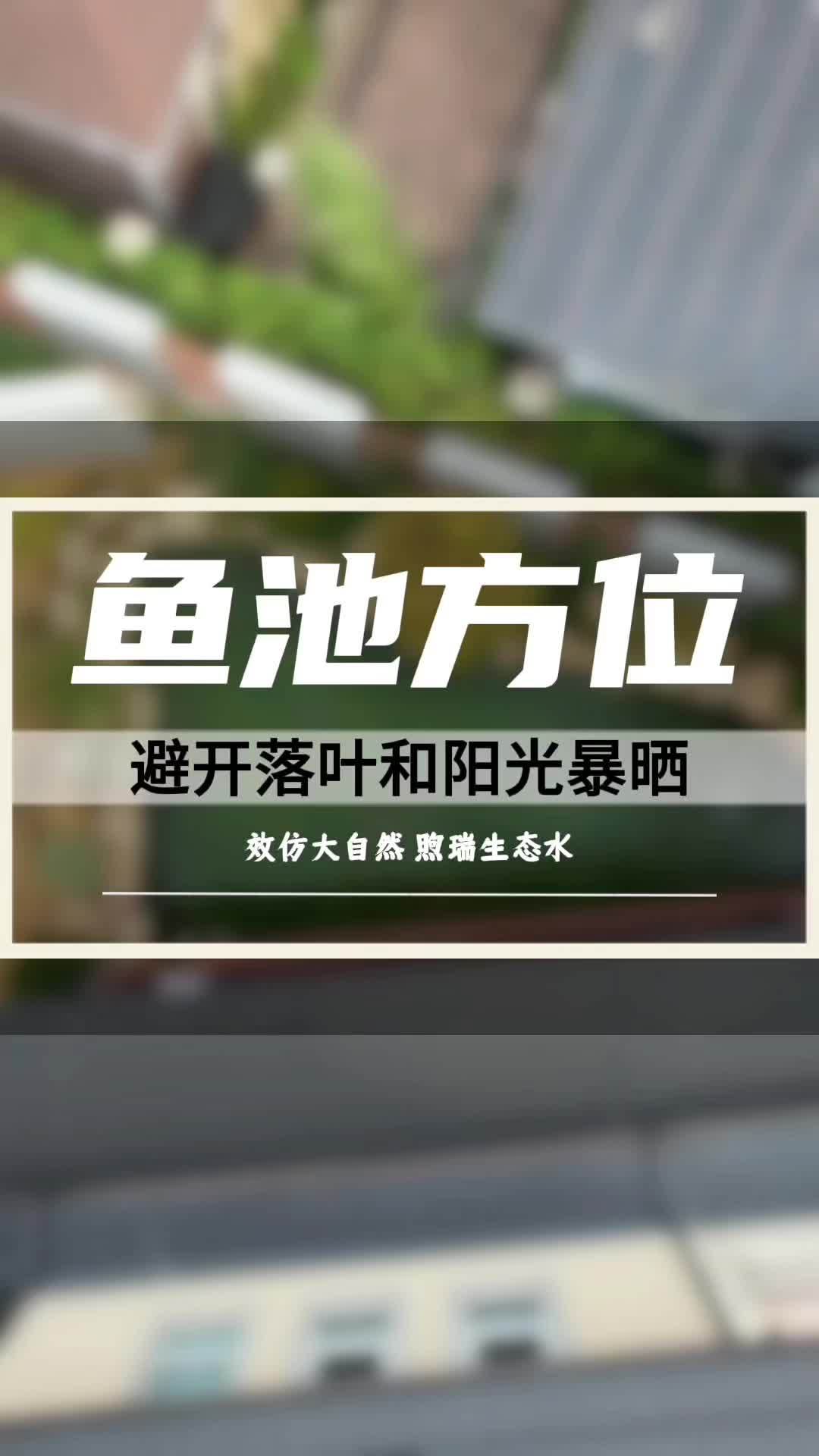 庭院锦鲤鱼池建造的方位 避开落叶多的地方和阳光直晒,东南方位建造鱼池为宜。锦鲤鱼池 鱼池设