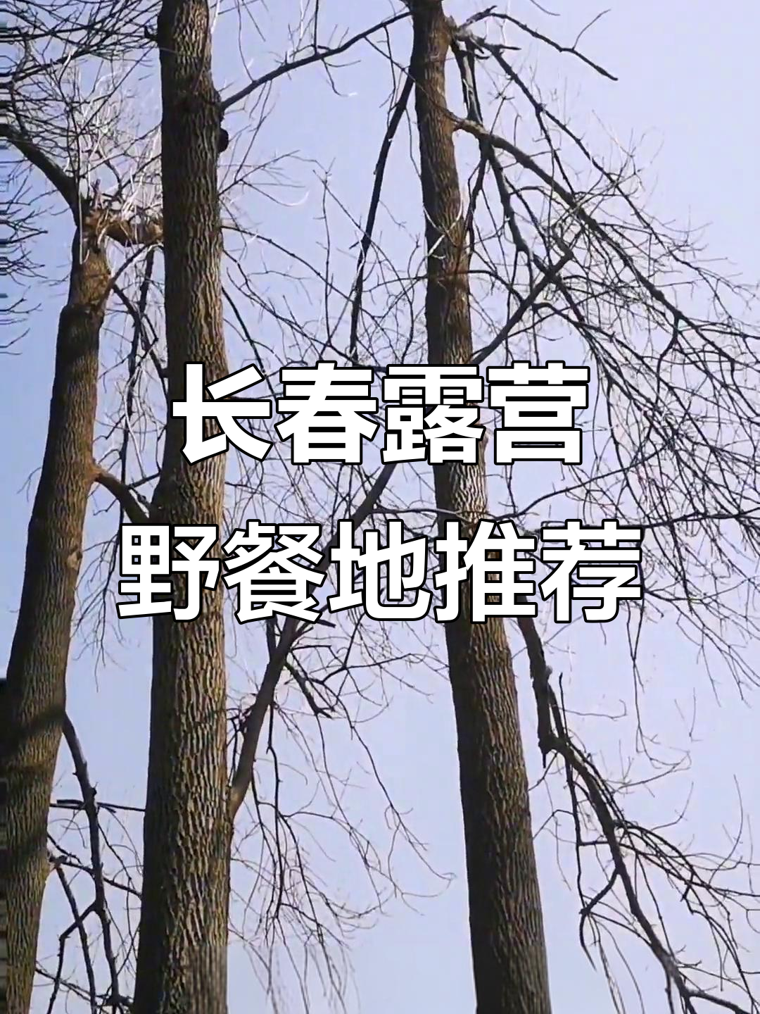 长春周边最适合露营野餐的地点推荐,周末户外好去处